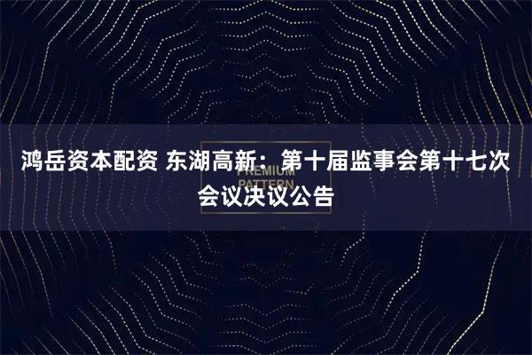 鸿岳资本配资 东湖高新：第十届监事会第十七次会议决议公告