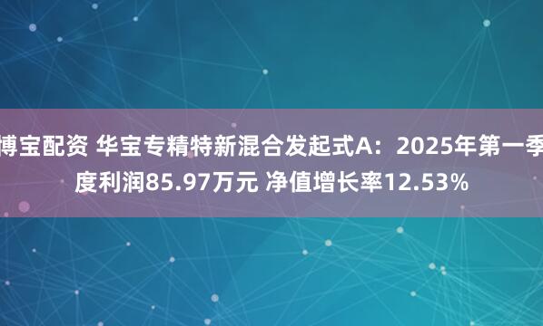 博宝配资 华宝专精特新混合发起式A：2025年第一季度利润85.97万元 净值增长率12.53%