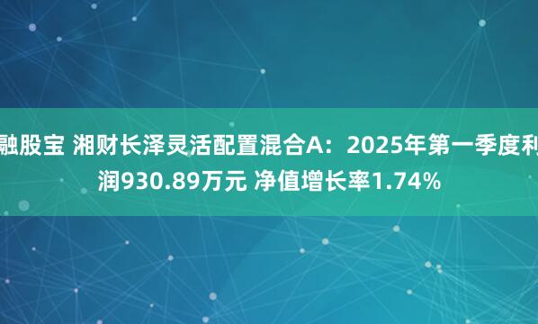 融股宝 湘财长泽灵活配置混合A：2025年第一季度利润930.89万元 净值增长率1.74%