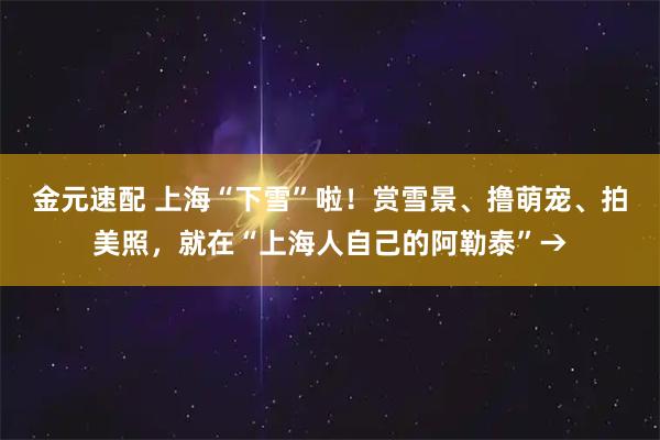 金元速配 上海“下雪”啦！赏雪景、撸萌宠、拍美照，就在“上海人自己的阿勒泰”→