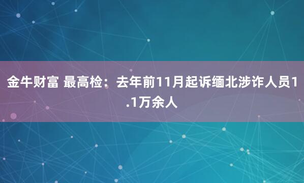 金牛财富 最高检：去年前11月起诉缅北涉诈人员1.1万余人