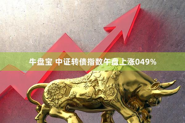 牛盘宝 中证转债指数午盘上涨049%